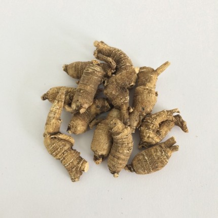 樹林參 (大）(每兩)